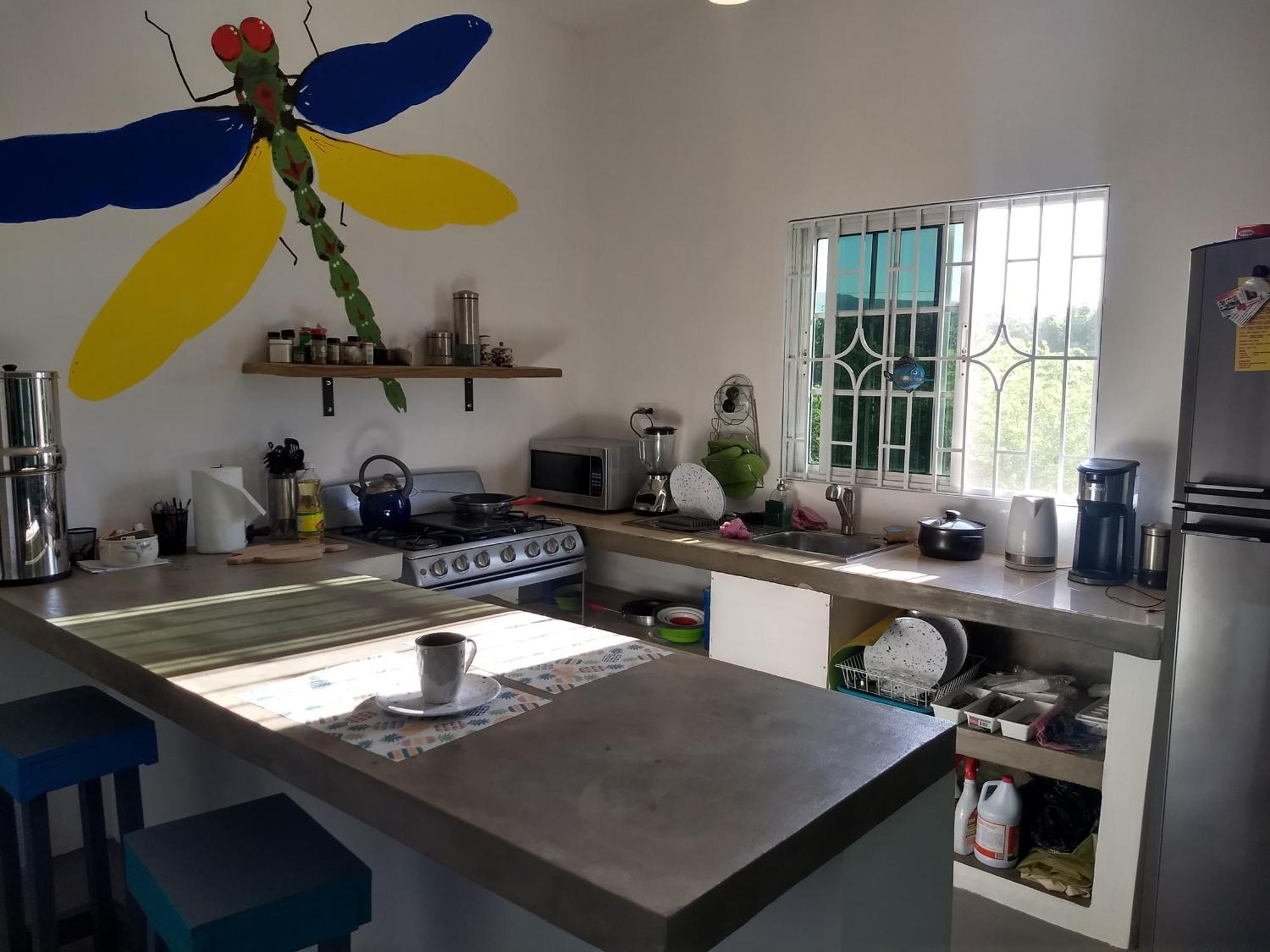 فندق Dragonfly تريجر آيلاند بيتش المظهر الخارجي الصورة